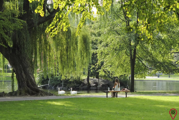 Green Escapes: Tranquil Gardens and Arboretums in Boston